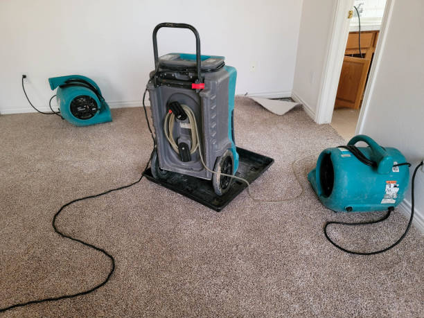 Best Ceiling water damage repair  in High Rolls, NM