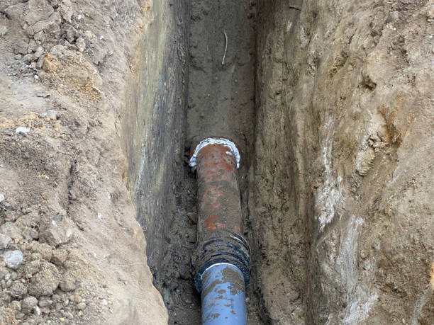 Best Professional water damage repair  in High Rolls, NM