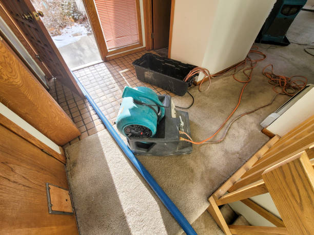 Best Emergency water damage restoration  in High Rolls, NM