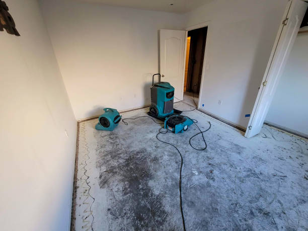 Best Sewage cleanup and water damage restoration  in High Rolls, NM