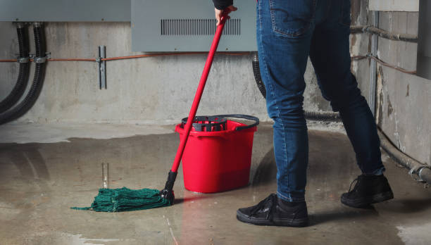 Best Flood damage cleanup  in High Rolls, NM