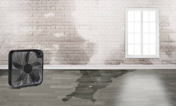 Best Flood restoration services  in High Rolls, NM