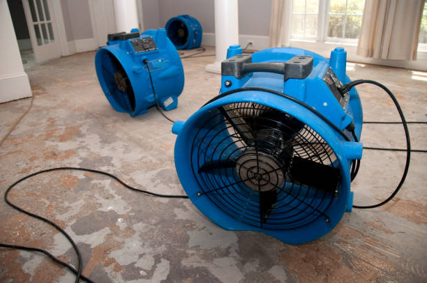 Best Water damage restoration services  in High Rolls, NM