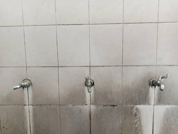 Best 24/7 water damage repair  in High Rolls, NM