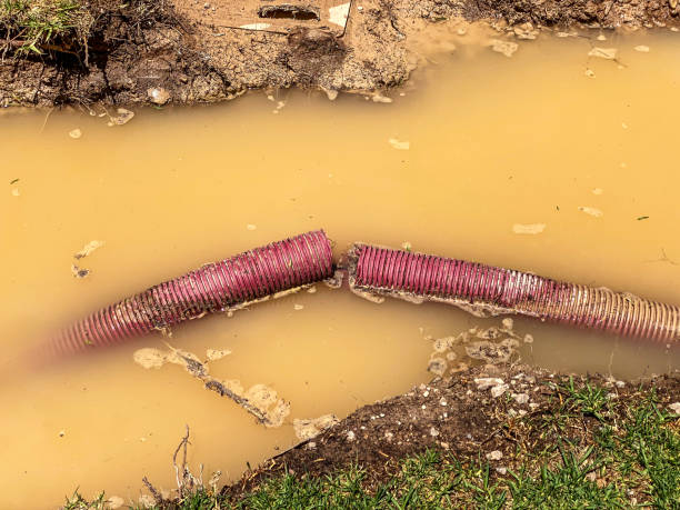 Best Local water damage restoration  in High Rolls, NM